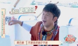 凯哥娱乐吃瓜,揭秘娱乐圈最新吃瓜事件，带你领略明星幕后故事