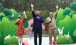 泰国翻译爆料视频大全最新,揭秘热点事件背后的真相